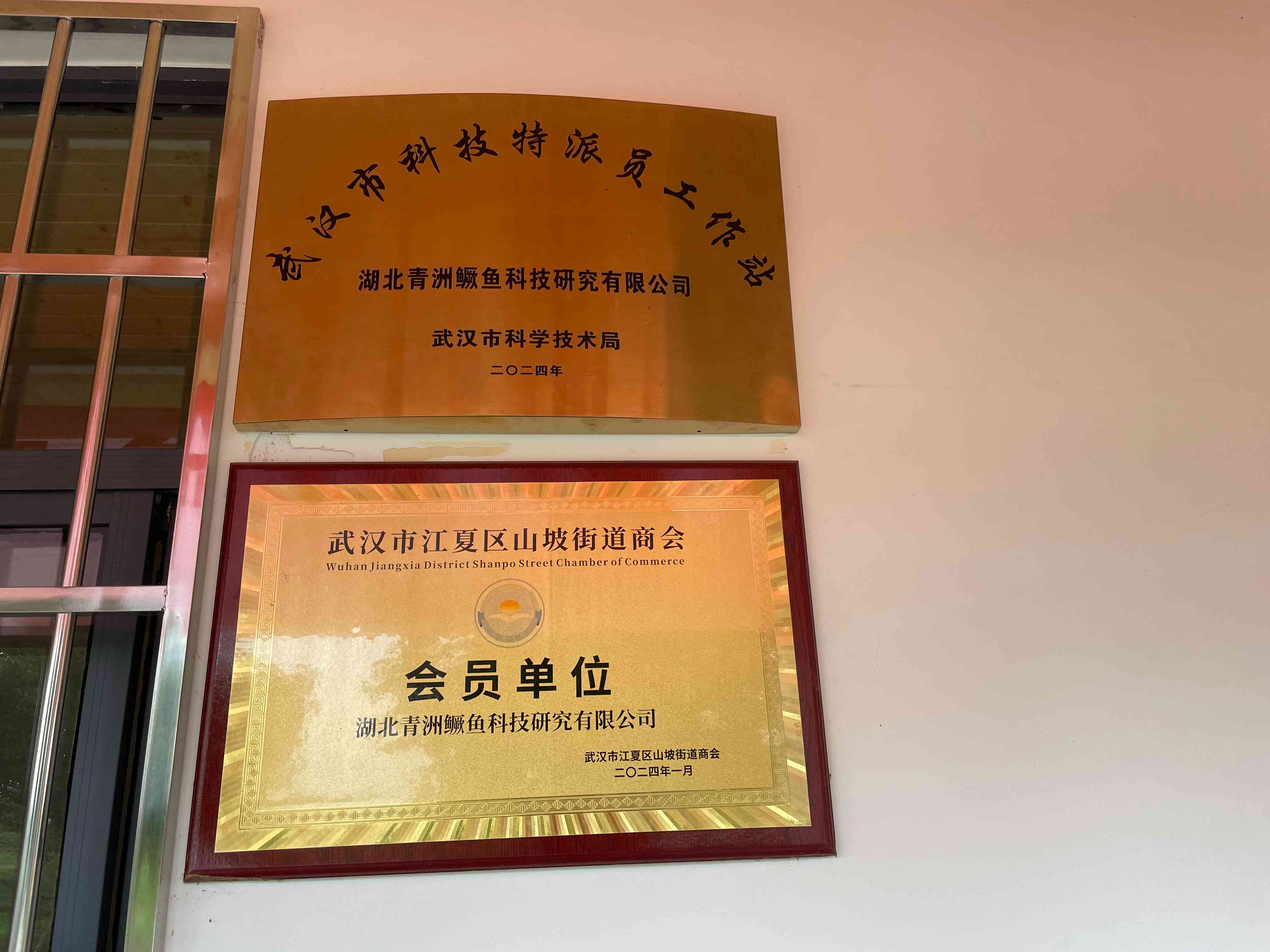 武汉市科技特派员工作站